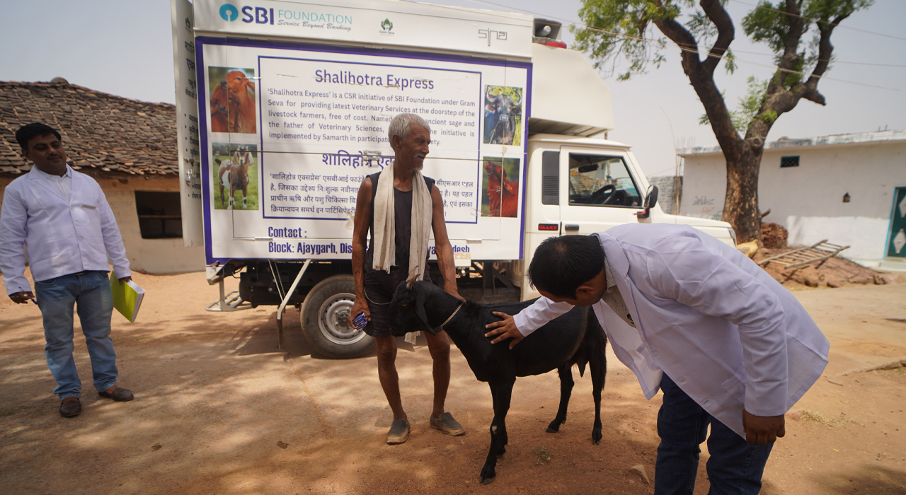 Veterinary Health Services And Doorstep Treatment